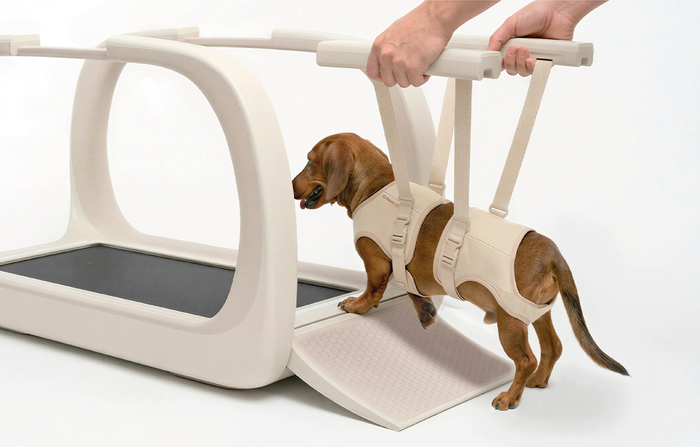 PAWGO高齡犬友善居家復健步行機使用情境