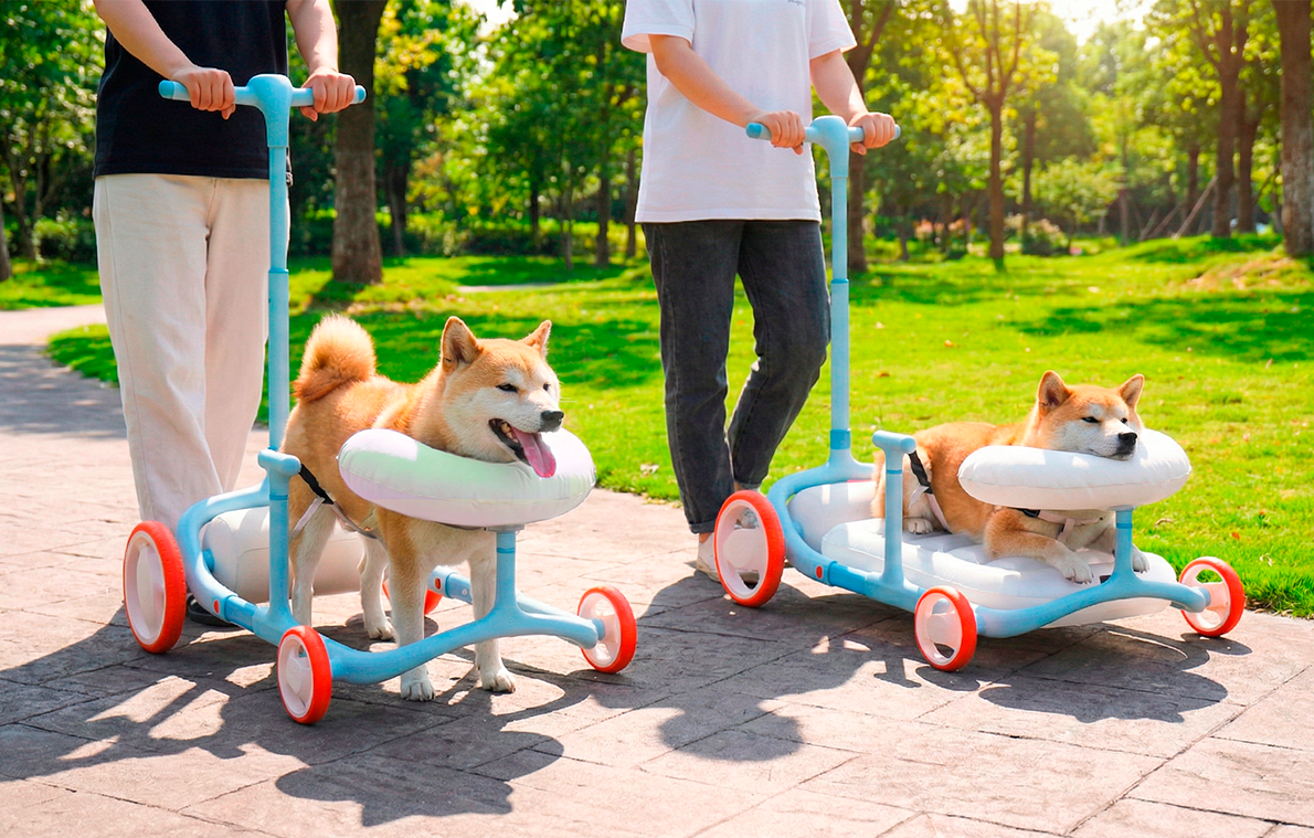 Cadomi高齡犬助行推車使用情境畫面
