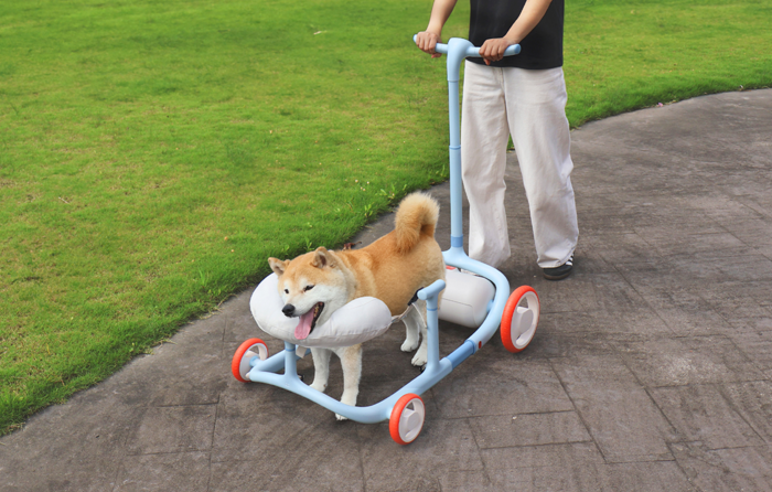 Cadomi高齡犬助行推車使用情境畫面